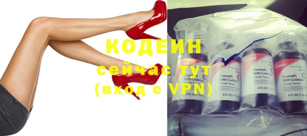 молекула духа Дмитриев