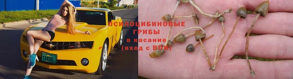молекула духа Дмитриев