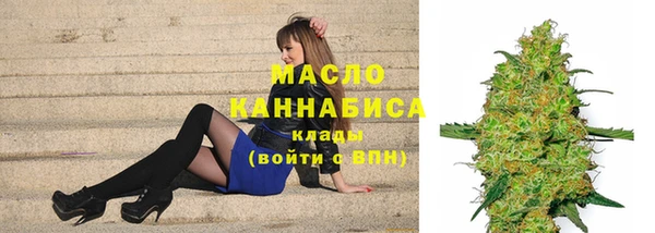 тгк Дмитровск