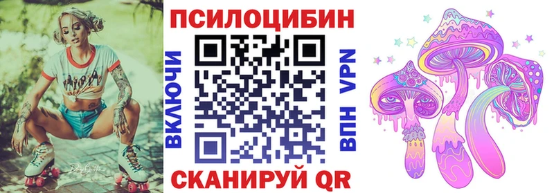 купить наркотики цена  Юрьев-Польский  Галлюциногенные грибы GOLDEN TEACHER 